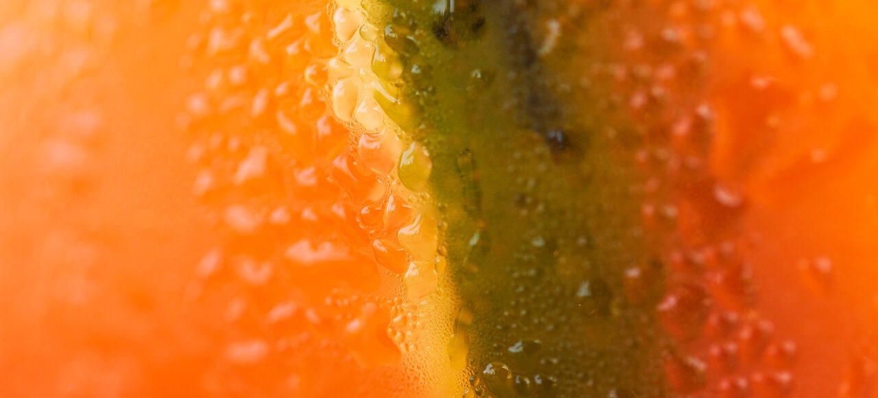 BOTANICAL ELIXIR DRINKS (0%)