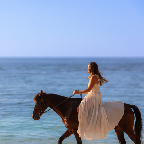 SUNSET HORSE RIDING - 1 PAX